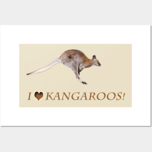 Kangaroo Posters and Art